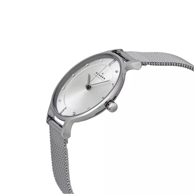 Jam Tangan Wanita Skagen Anita Lille SKW2149 Silver Dial Mesh Strap
