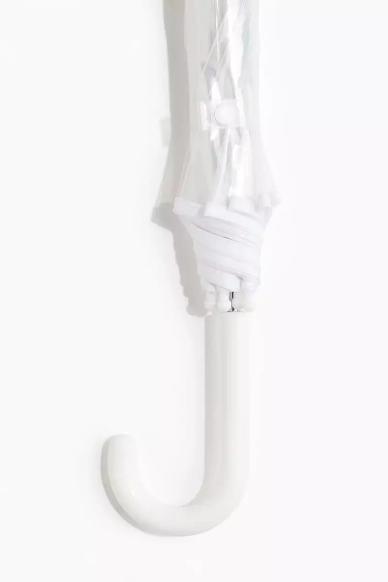 Transparent umbrella