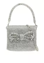 Aldo on sale clear bag