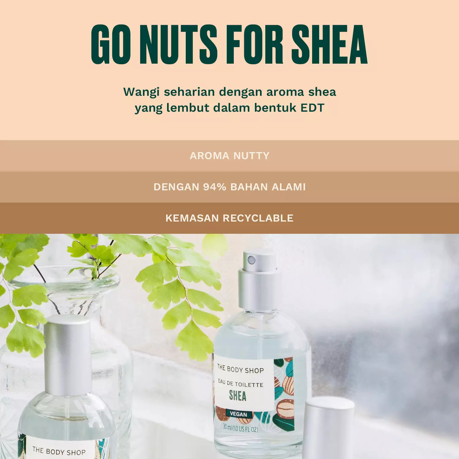Wangi shea 2025 the body shop