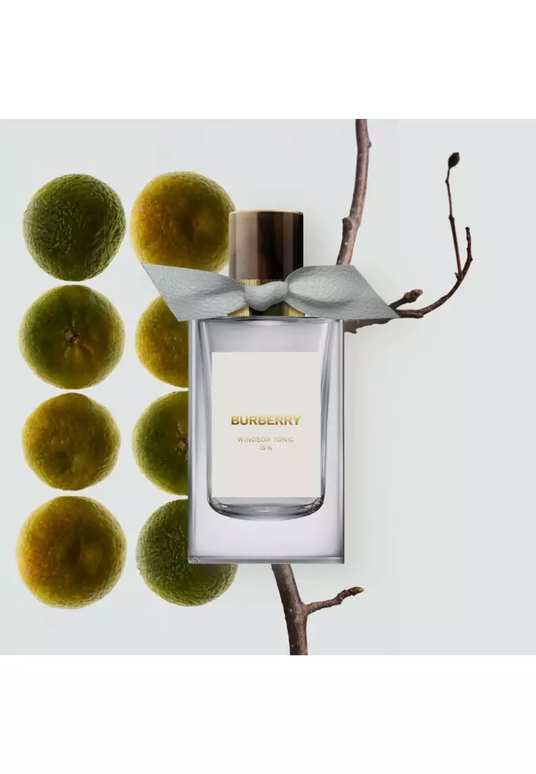 Buy Burberry Burberry - Windsor Tonic Eau de Parfum 100ml Online
