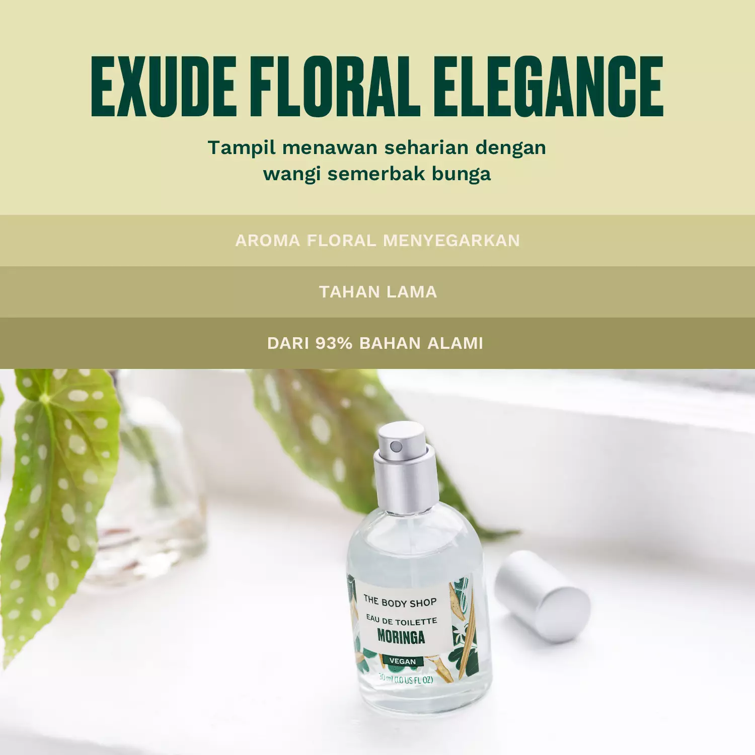 Moringa eau de toilette on sale