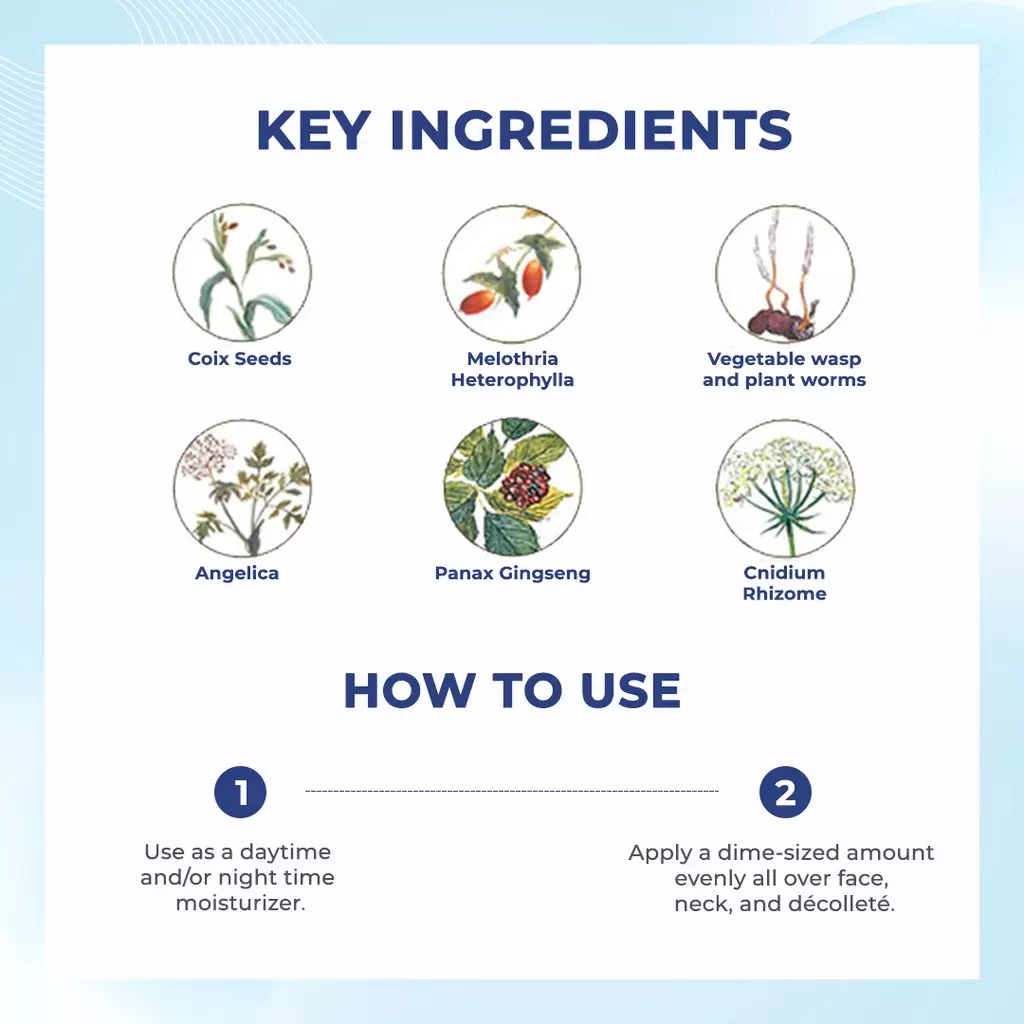 Jual KOSE KOSE Sekkisei Cream Excellent Original 2024 ZALORA Indonesia