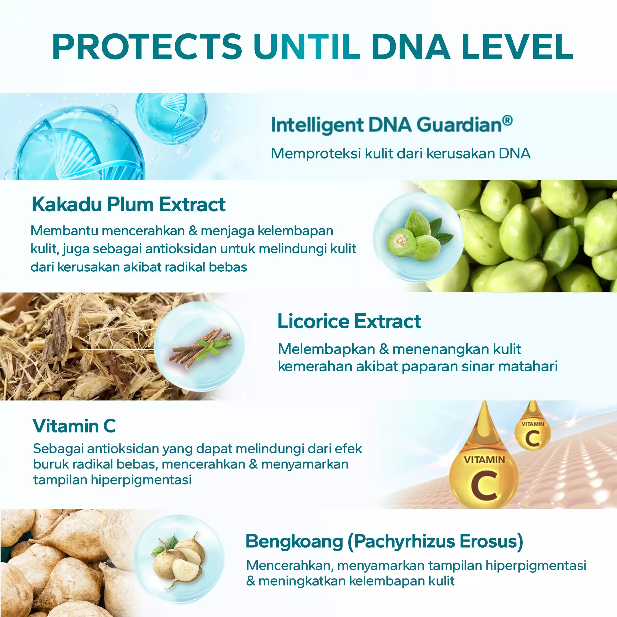 AMATERASUN [REAL SPF Certified] Brightening Sunscreen SPF 50+ PA++++  - TONE UP SUNSCREEN