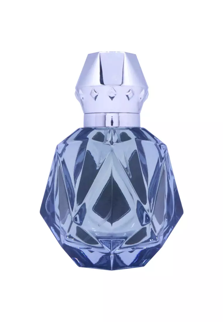 Burgundy Silver Gem Extrait De Parfum Man 100 ML