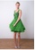 ANNE F green Chiffon Layered A-Line Dress AN664AA20MVNHK_3