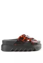 Black/Tortoise