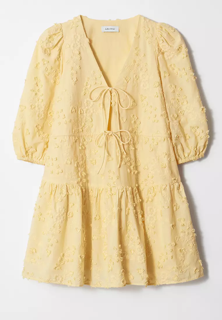 Embroidered Mini Dress