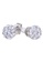 LITZ white LITZ 750 (18K) White Gold Diamond Earrings  钻石耳环 CDE2 3E62DAC7045896GS_3