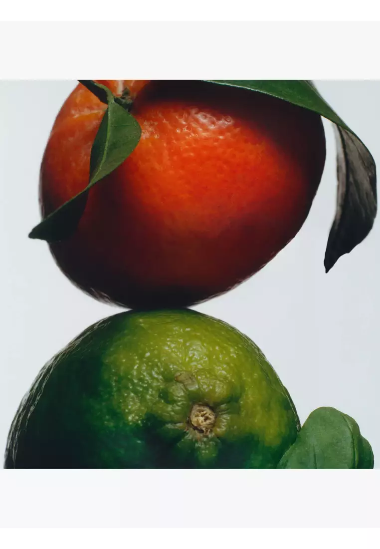Lime Basil & Mandarin Cologne Mini 9ml