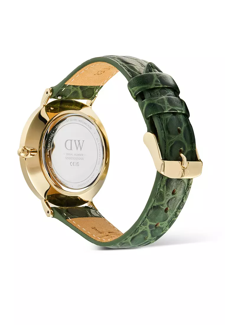 Classic 40mm Roman Numerals Date Dark Green Croc Belly Gold - Men Watch stainless steel Leather strap watch DW Official Authentic Original 男士手錶 不銹鋼 真皮 手錶 DW 官方 正品