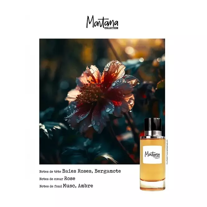 Montana Collection 1 EDP 100 ml - Parfum Wanita