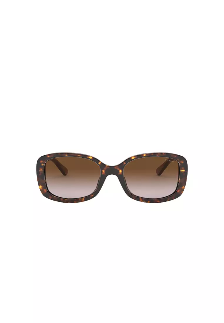 Coach sales audrey sunglasses