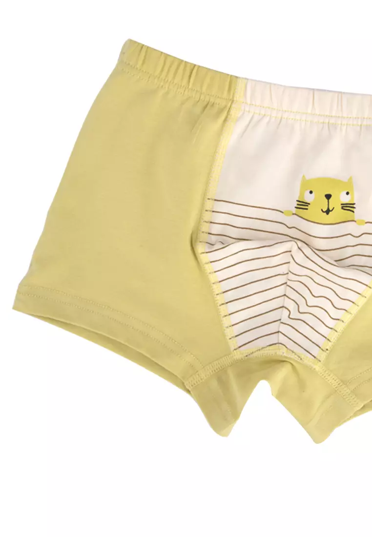 Move Avery Boxer Briefs Underwear For Boys