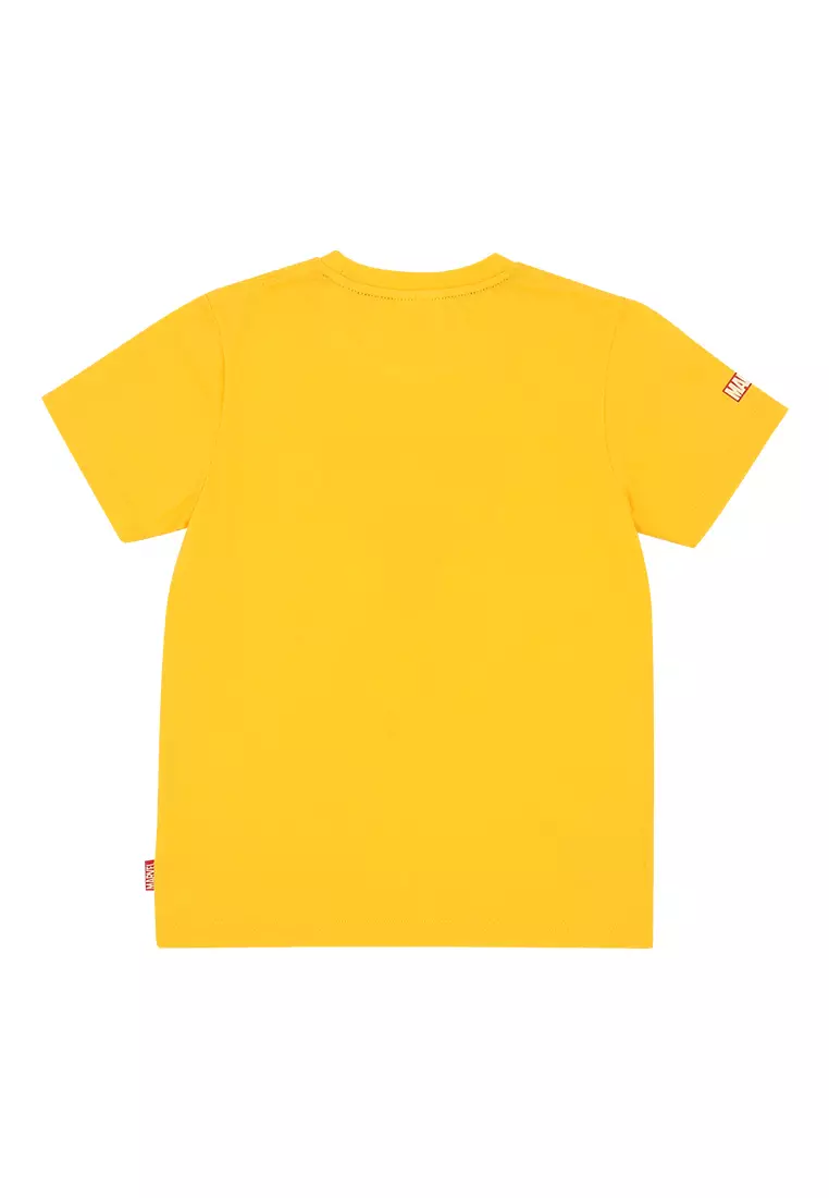 Boys Licensed Graphic T-Shirt Iron Man Japanese Characters