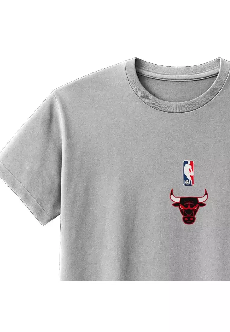 Chicago Bulls T-Shirts for Men Player Option Collection