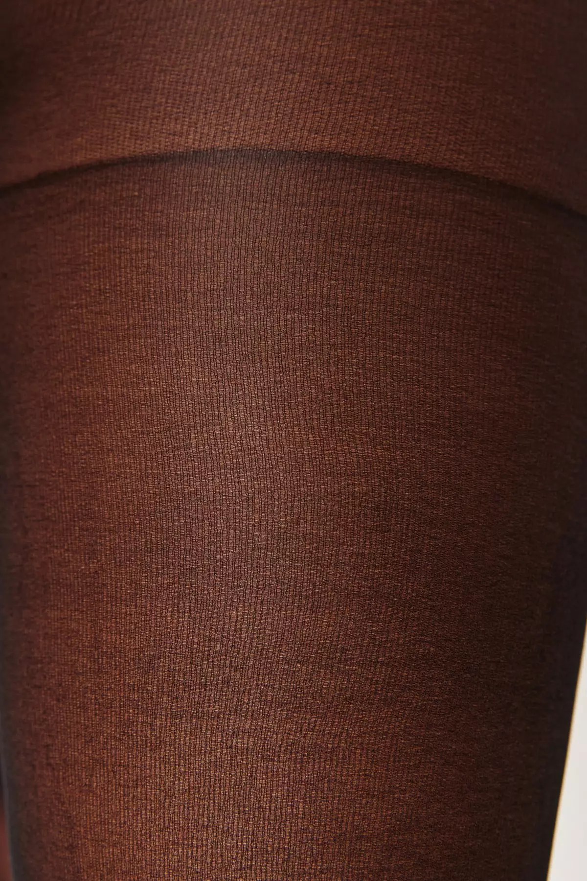 Plus Size 2 Pack Pantyhose