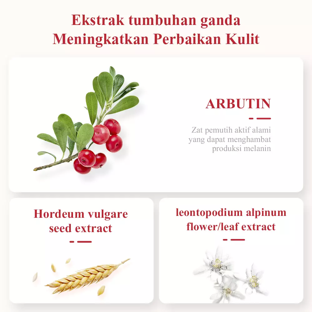 [BPOM] BREYLEE Pomegranate Serum - Mencerahkan Wajah (30 ml)