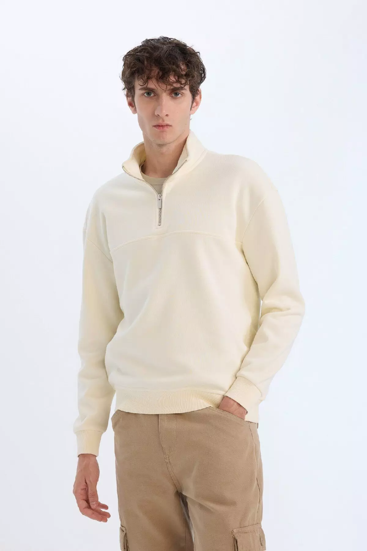 Relax Fit Stand Collar Zippered Basic Plain Thick Sweatshirt