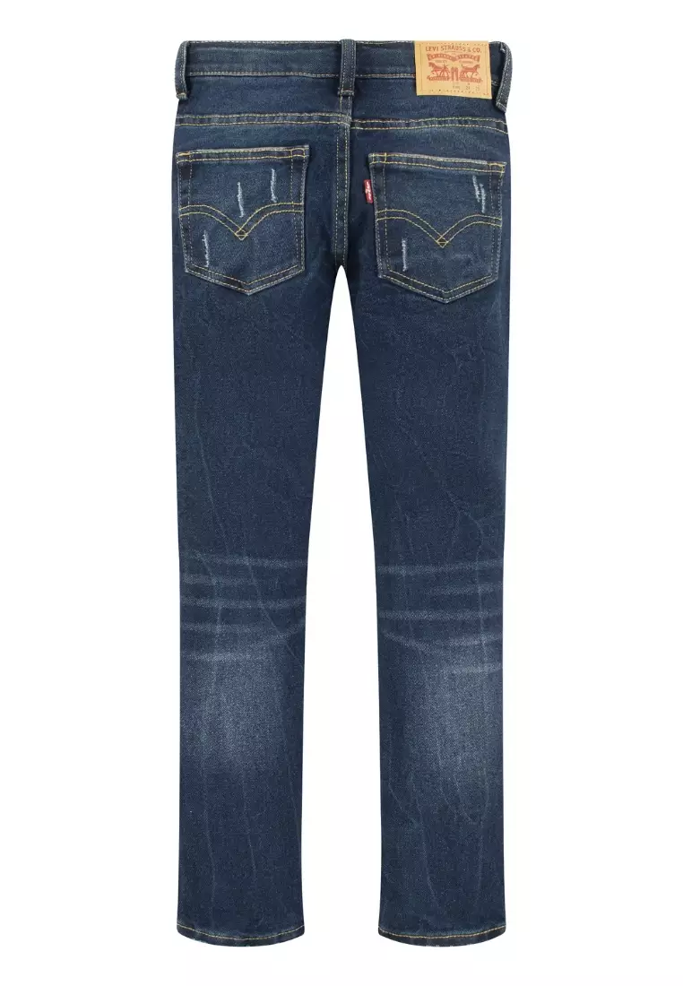 Buy Levi's Levi's Boy Skinny Taper Jeans Time Flies (Big Kids) Online ...