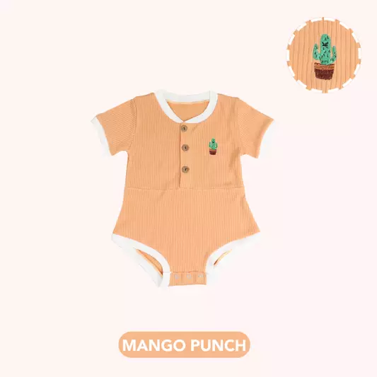 Mango Punch