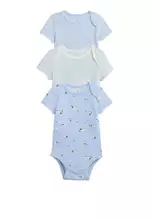 Serene Blue/Multi