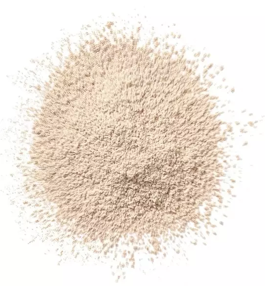 CLINIQUE Blended Loose Setting Face Powder • 25g - Transparency 2