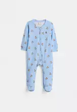 Blue/Bear
