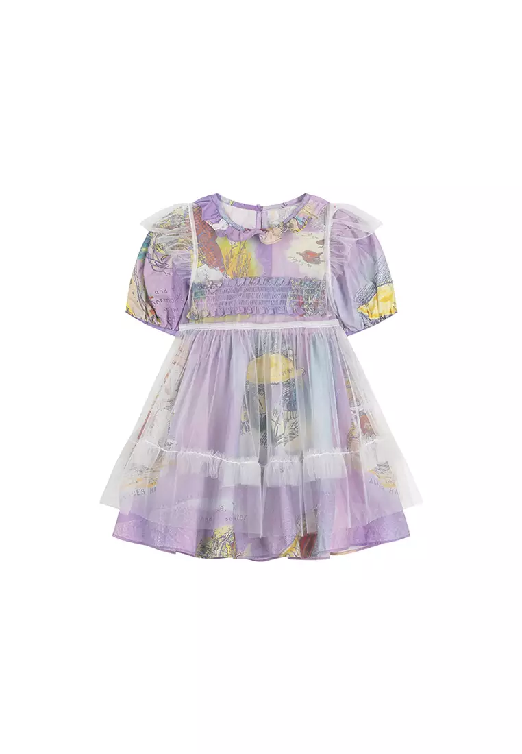 Multicolour Printed Mesh Ruffled Tulle Dress