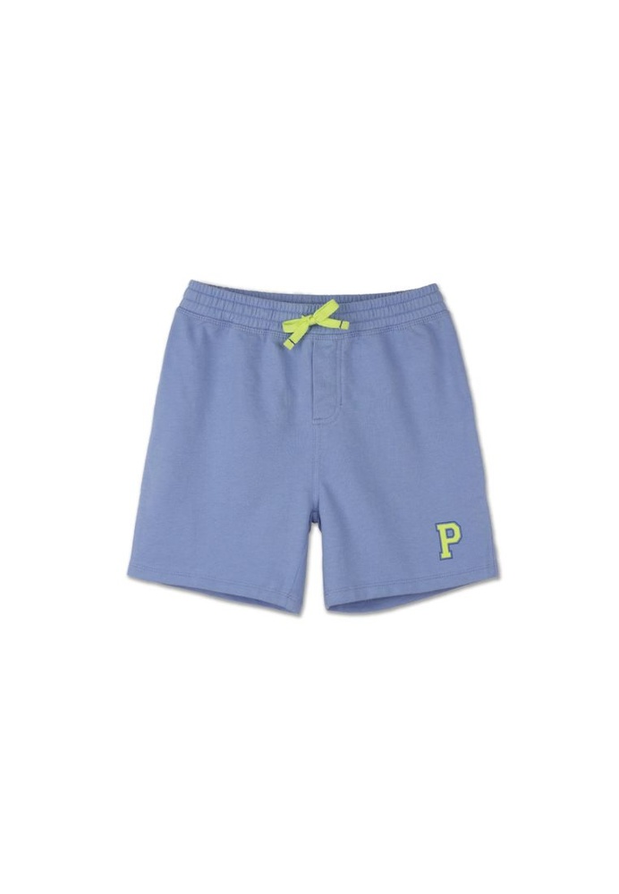 baby blue zoom logo