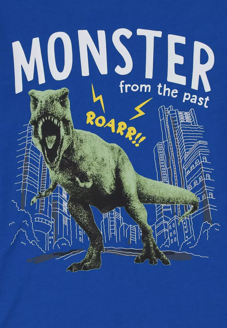 Boys' Dinosaurs T-Shirt