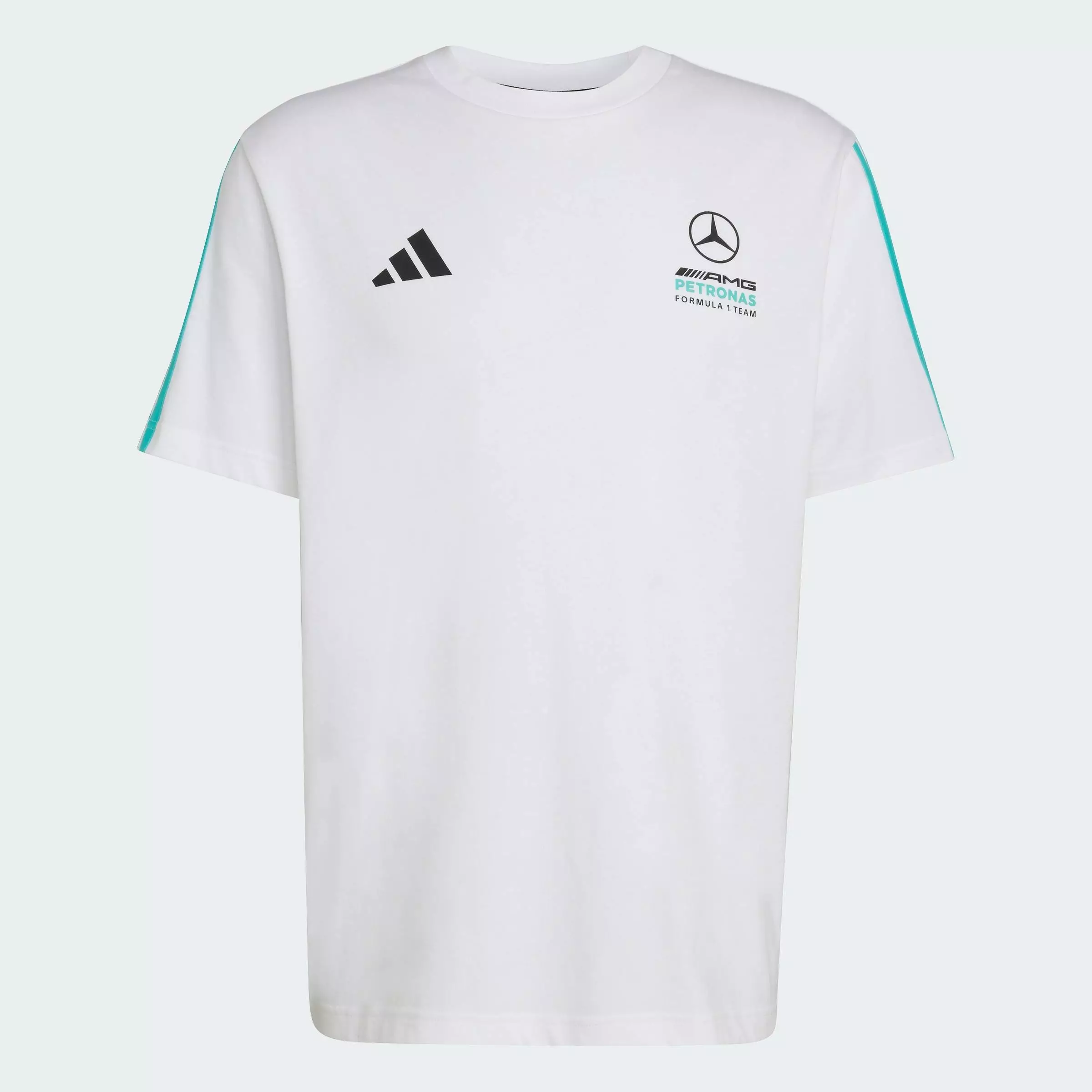 Motorsport MERCEDES - AMG PETRONAS FORMULA 1 TEAM DNA TEE Men White KE8162