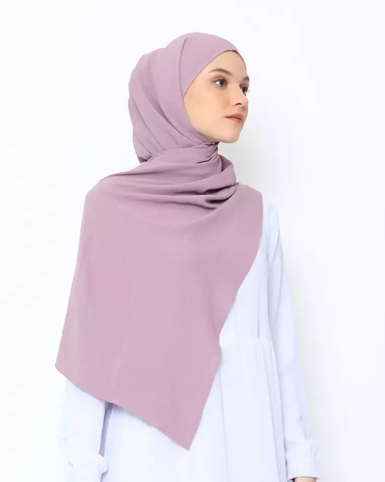 Zamia Pasmina Instan Amethyst