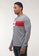 Fubu Boys grey Round Neck Long Sleeves Regular Fit Sweatshirt 9291EAA47901A6GS_2