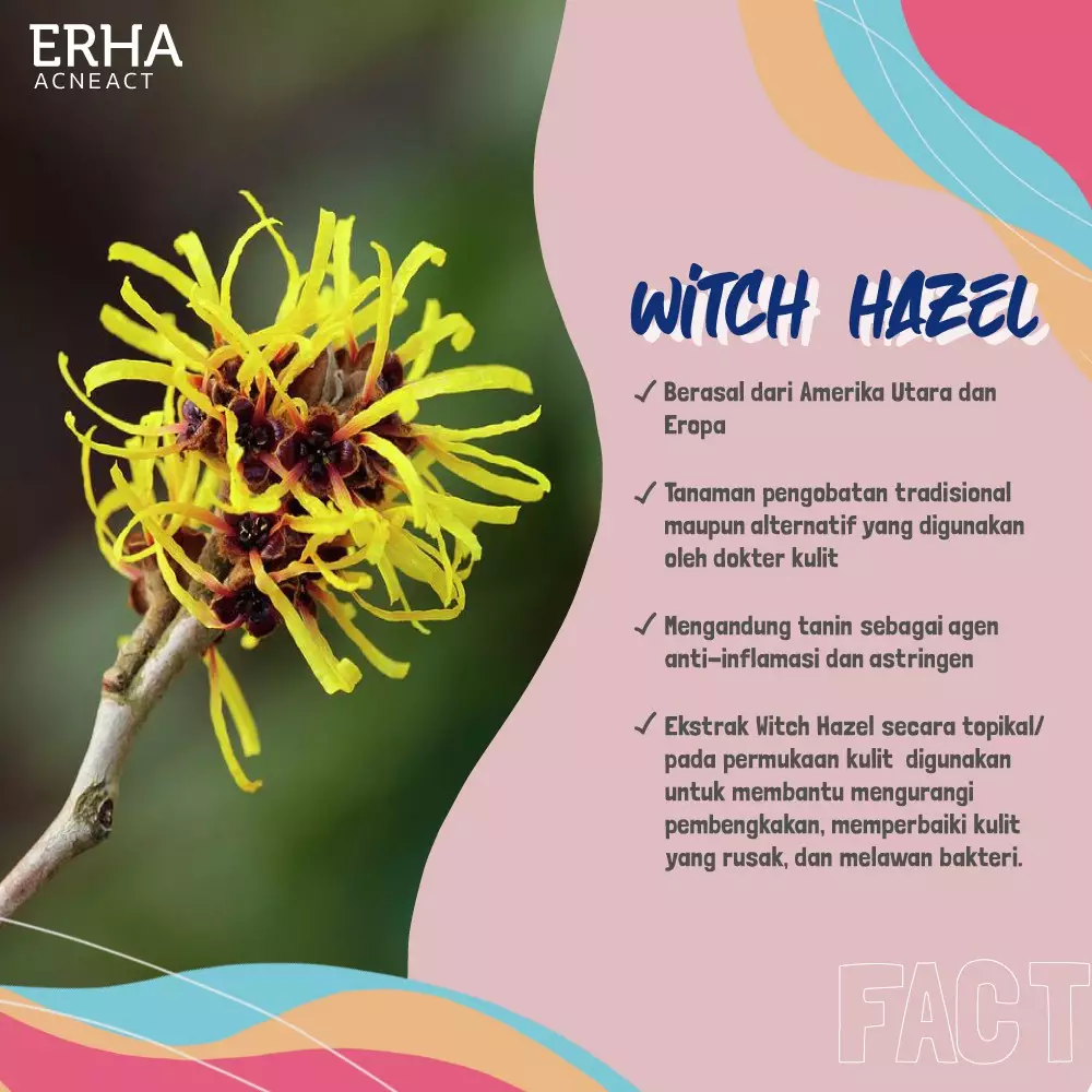 ERHA Acneact Witch Hazel & Lavender Acneact Calming Gel 100G - Pelembab Wajah