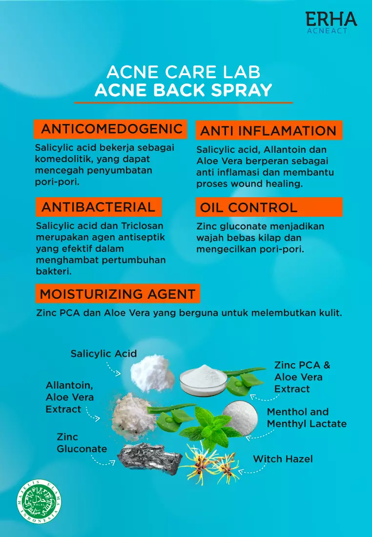 Jual Erha ERHA Acneact Care Lab Acne Back Spray 100 Ml Obat Jerawat