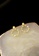 ZITIQUE gold Women's Diamond Embedded Dragonfly Ring Earrings - Gold 2DD64ACD9E60CEGS_2