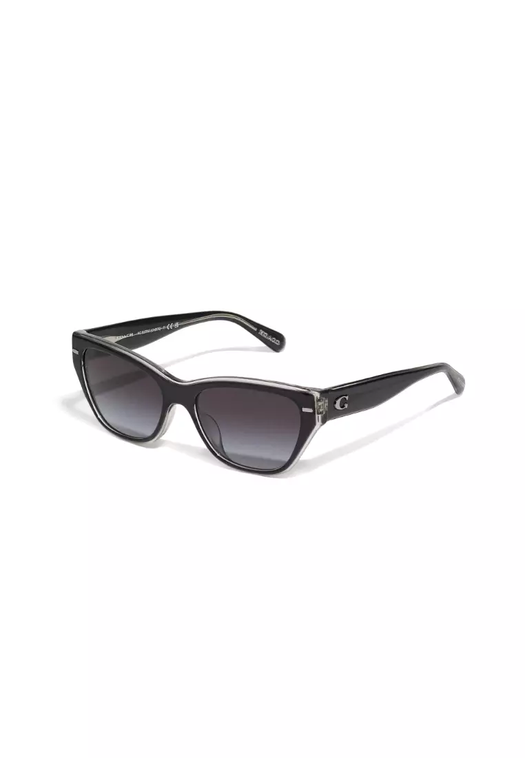 Coach cat eye online sunglasses