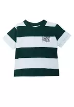 Winter Jade/Ice Blue Stripe/Stay Wild