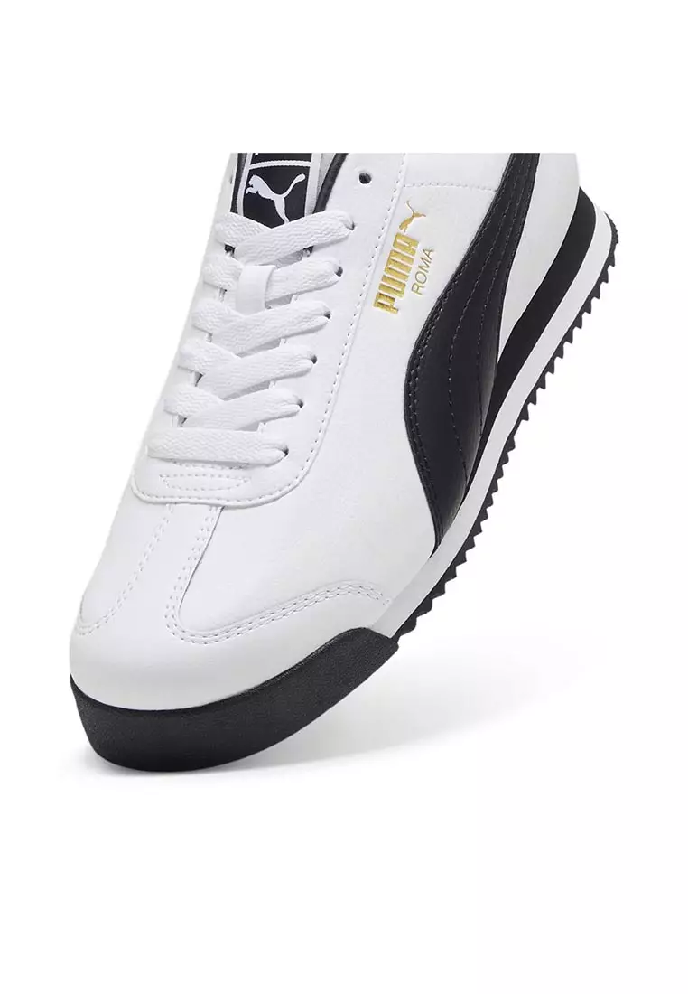 Roma 24 Standard