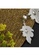 A-Excellence gold White Flower Design Drop Earrings 99877AC6F605C7GS_5