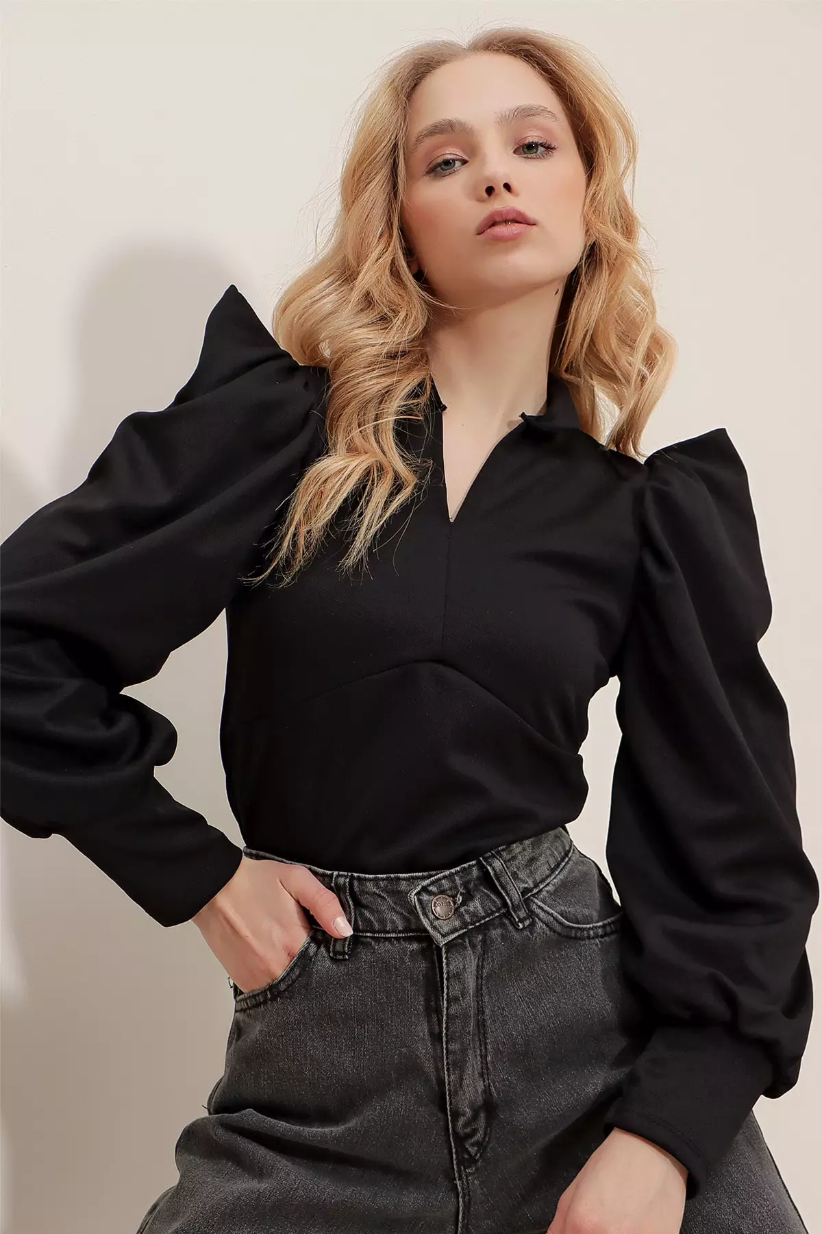 Puffed Long Sleeves Blouse