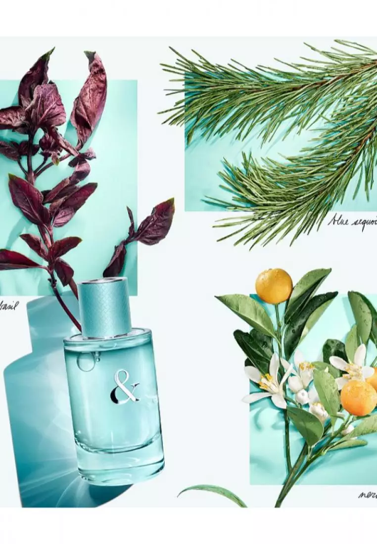Buy Tiffany & Co Tiffany & Love Eau de Parfum for Her 50ml 2026