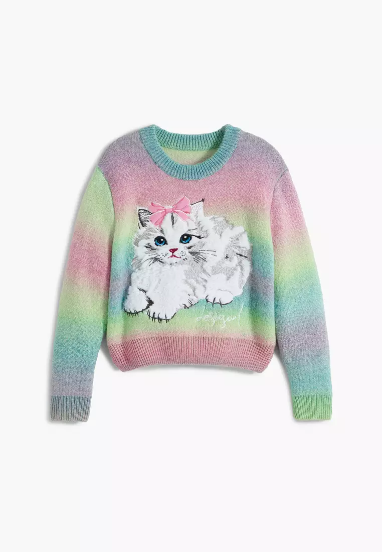 Rainbow cat sweater