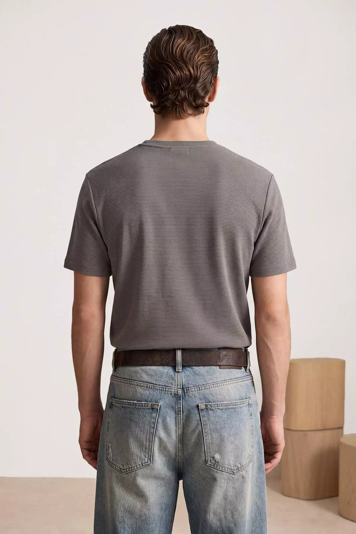 Mink Regular/Normal Cut Textured T-Shirt Tmnss26Ts00067