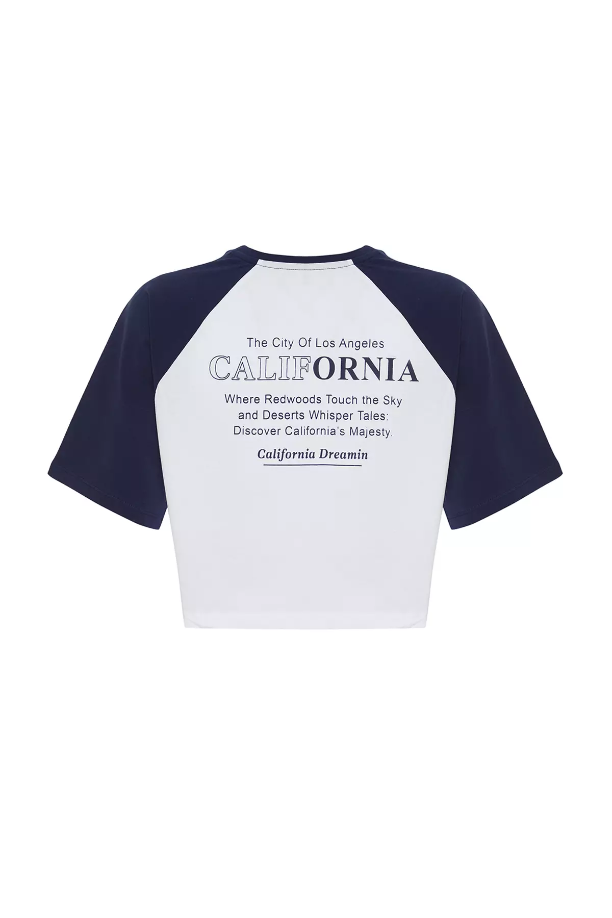 Color Blocked Crop T-Shirt