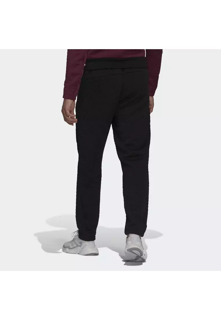 Buy ADIDAS z.n.e. sportswear primeblue cold.rdy pants 2024 Online