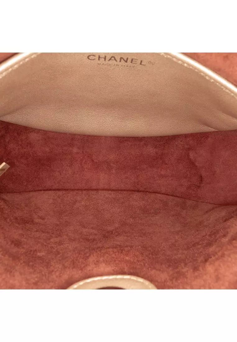 Pre-Loved Chanel Small Quilted Metallic Calfskin Jungle Stroll Hobo