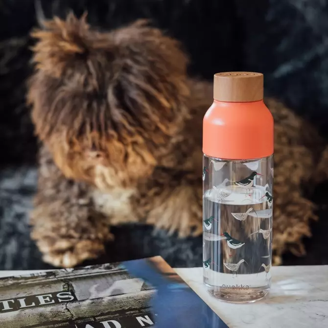Quokka Ecozen Bottle Ice Birds 720ml - Botol Minum Anak