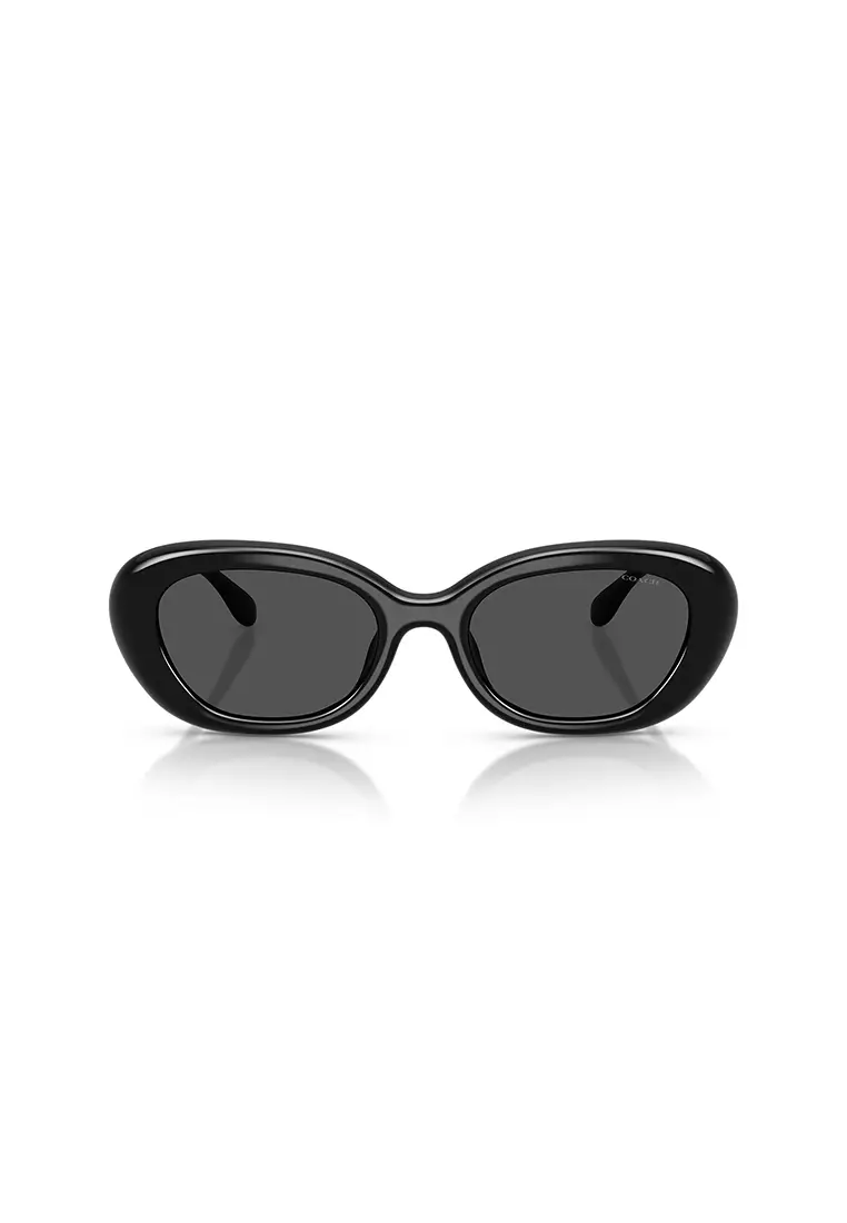 Women's Oval Frame Black Injected Sunglasses - HC8448U